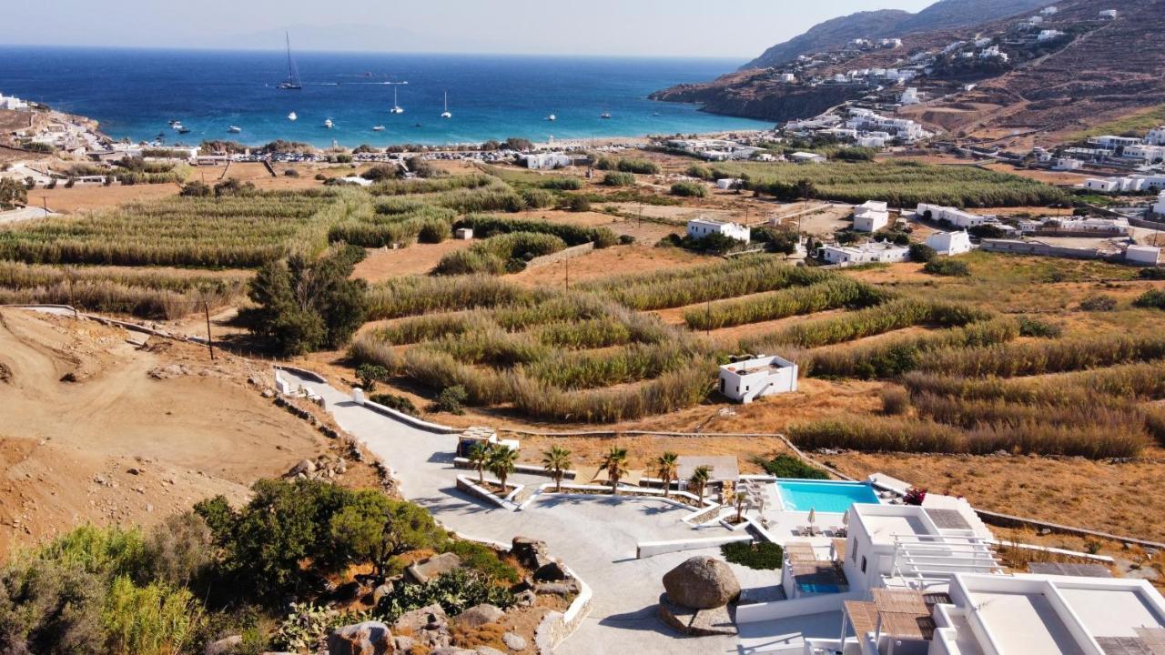 Mykonos4Islands Seaside Homes And Suites カロ・リヴァディ エクステリア 写真